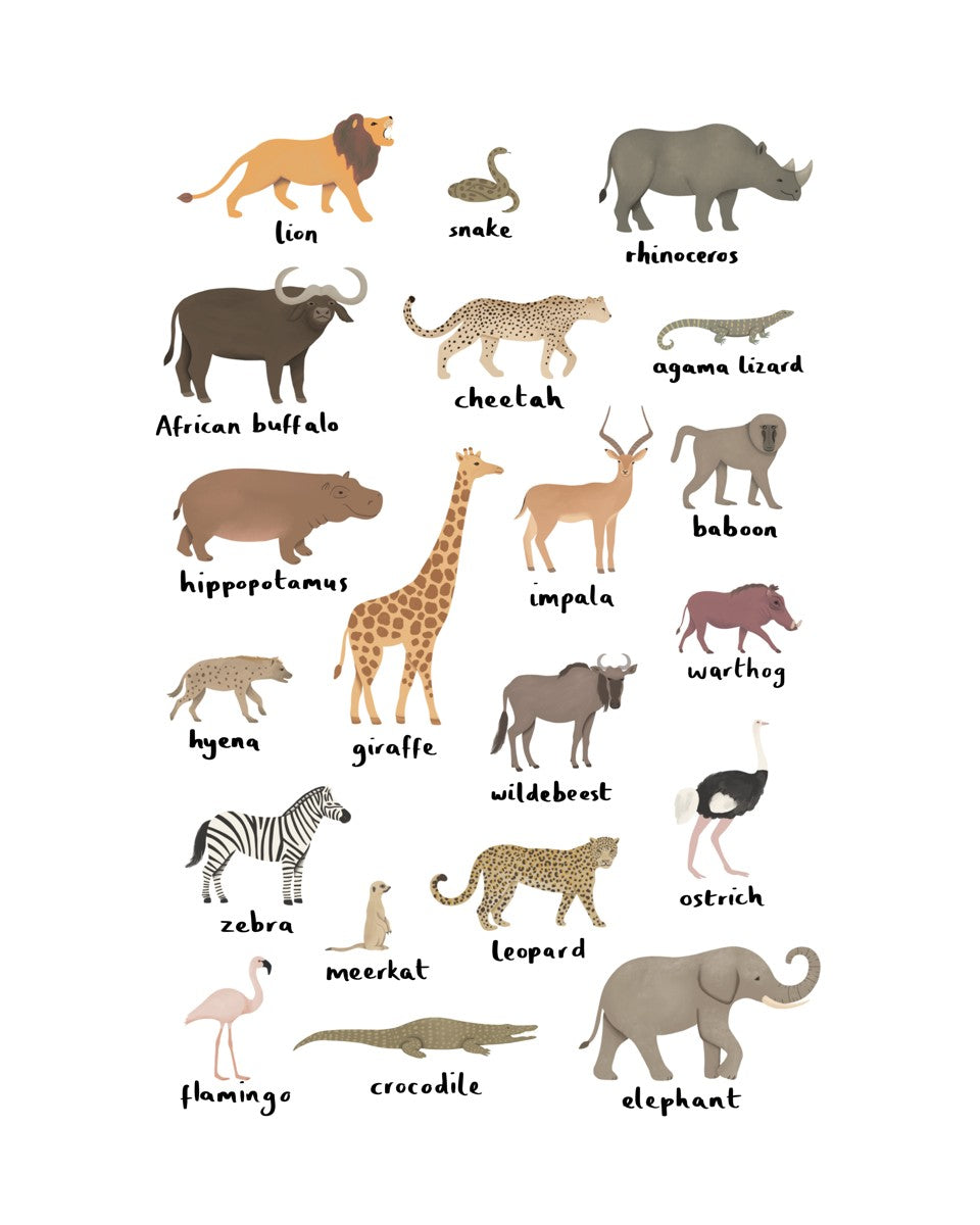 Safari animal chart