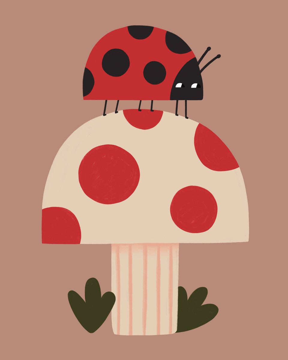 Ladybird and Mushroom