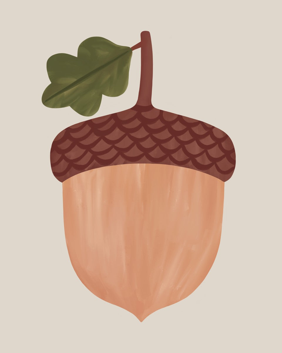 Acorn in stone