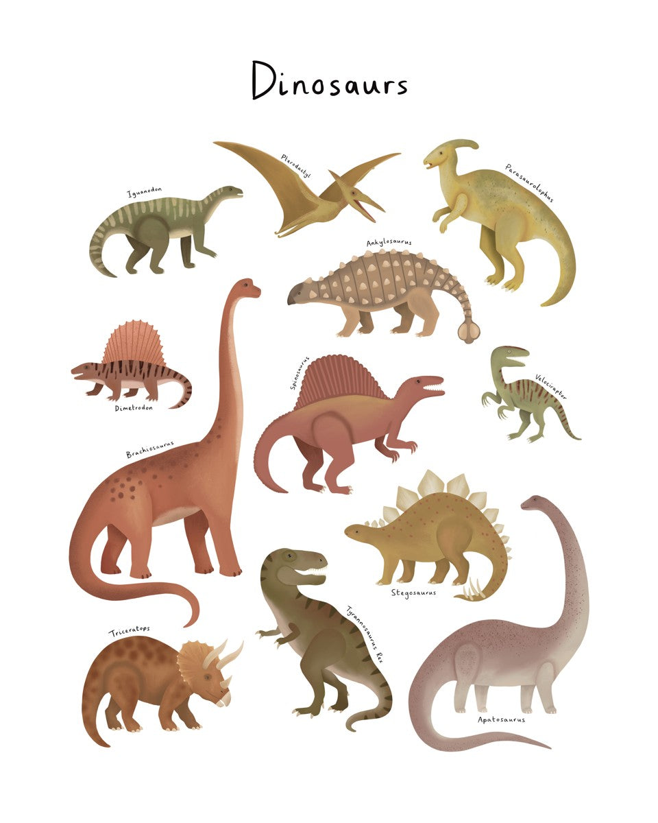 Dinosaur Chart in white