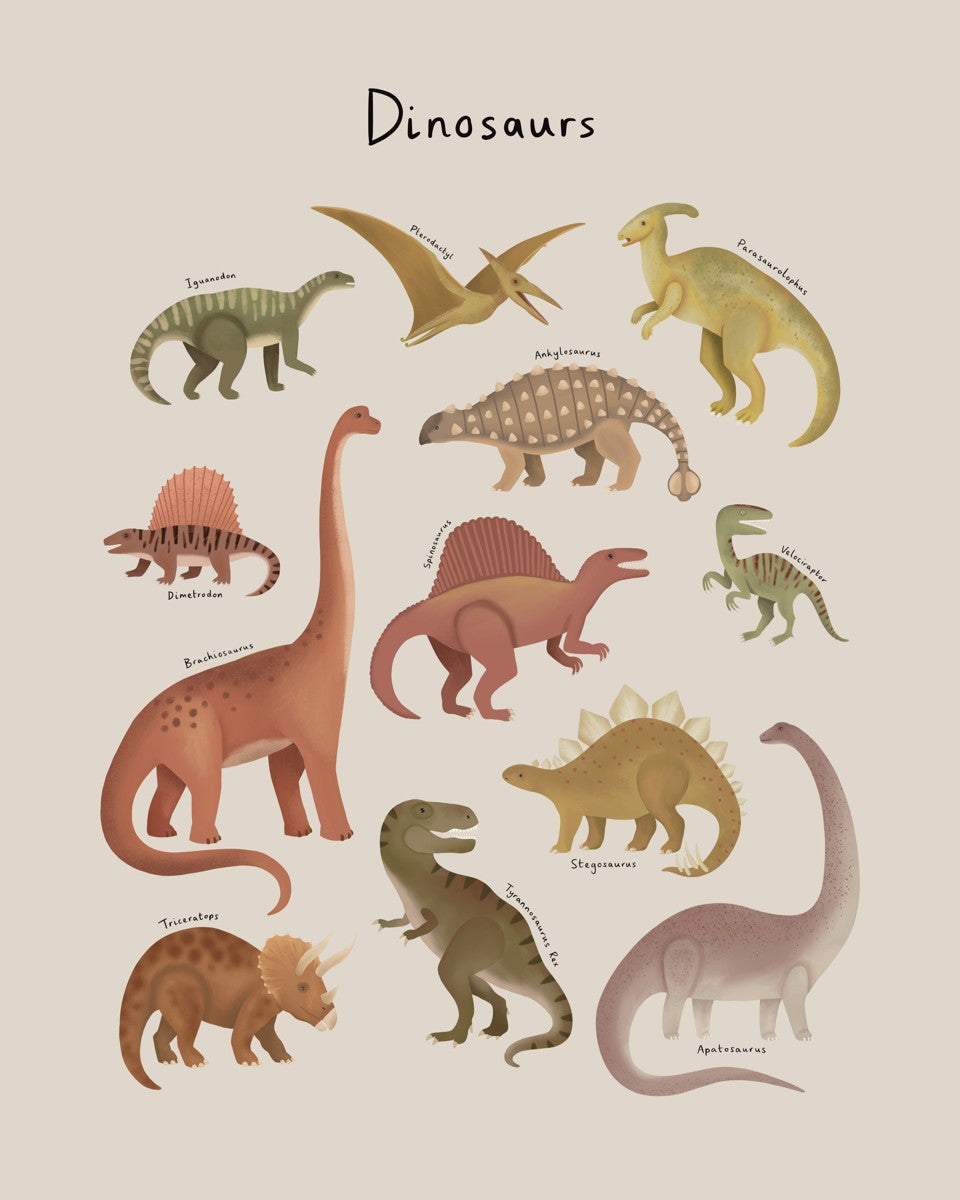 Dinosaur Chart in stone