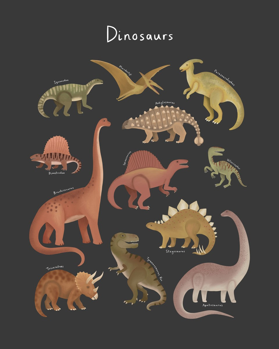 Dinosaur Chart in black