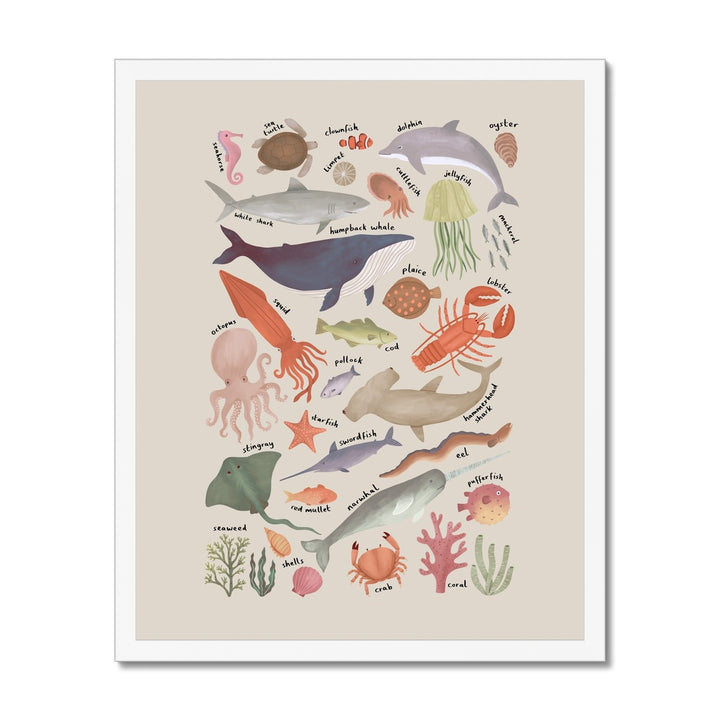 Ocean Life Chart in stone / Framed Print