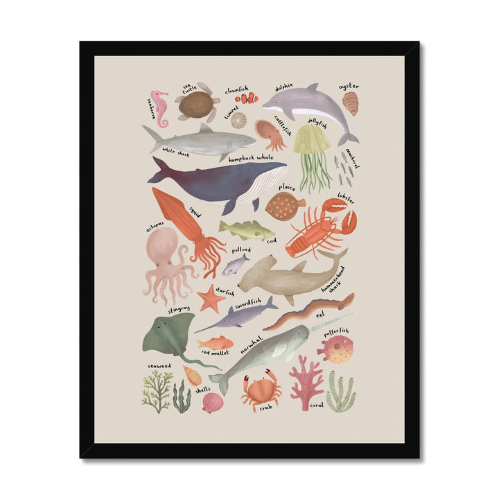 Ocean Life Chart in stone / Framed Print