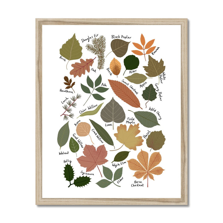 Leaf Chart / Framed Print