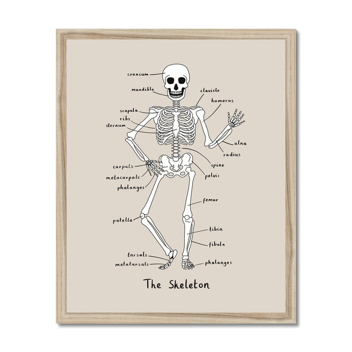 Skeleton in stone / Framed Print