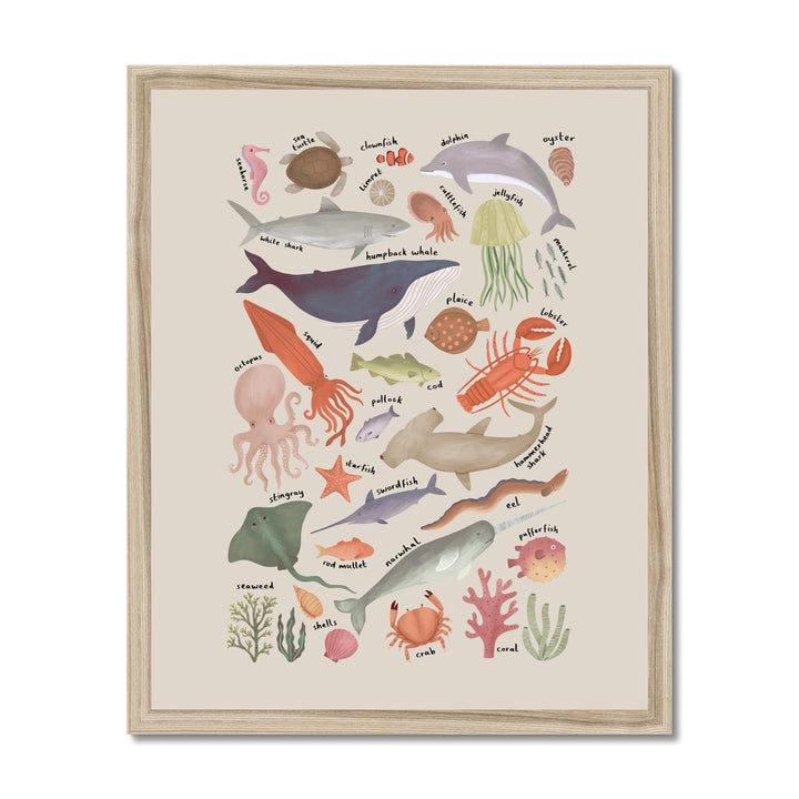 Ocean Life Chart in stone / Framed Print