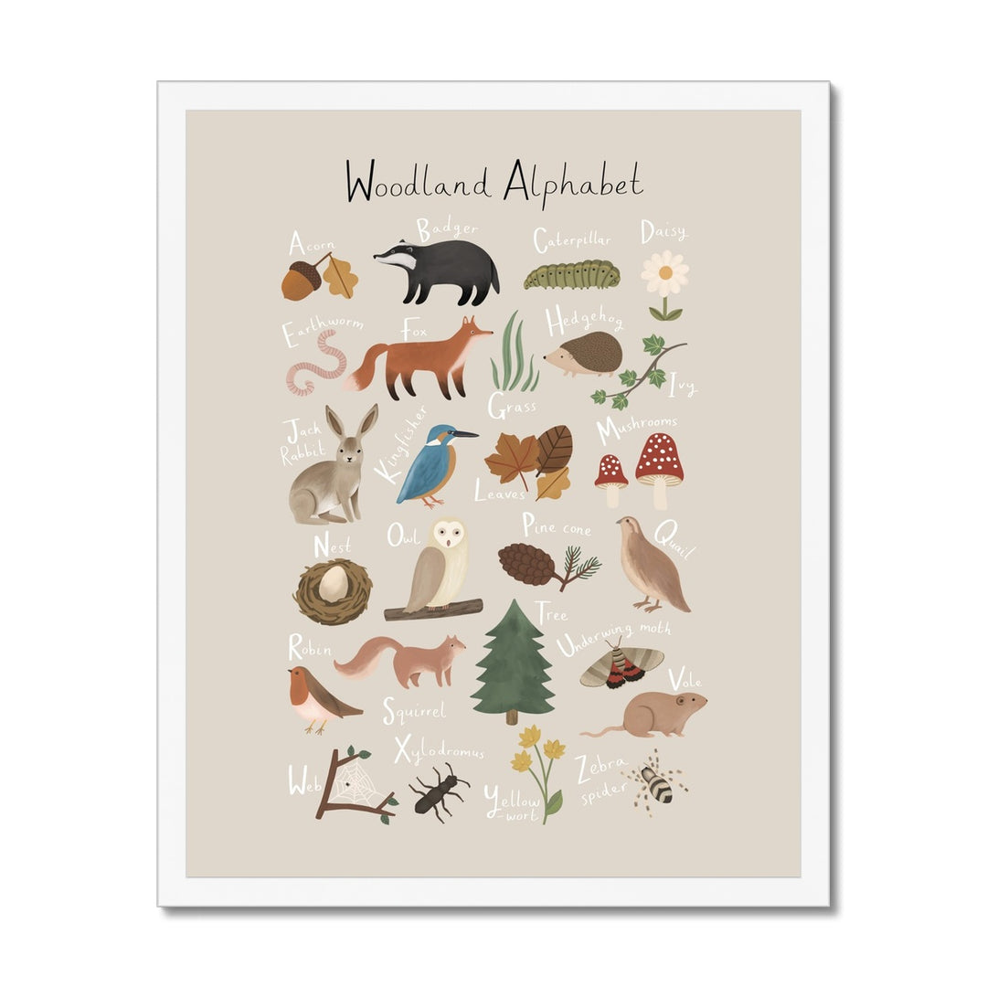 Woodland Alphabet in stone / Framed Print