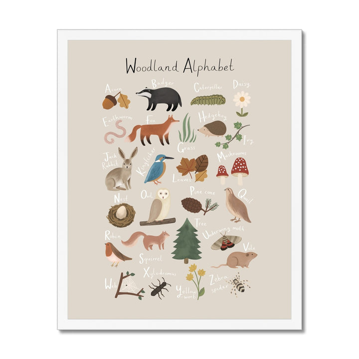 Woodland Alphabet in stone / Framed Print