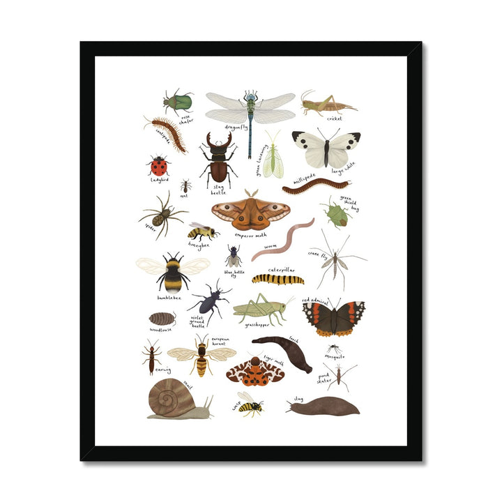 Minibeasts in white / Framed Print