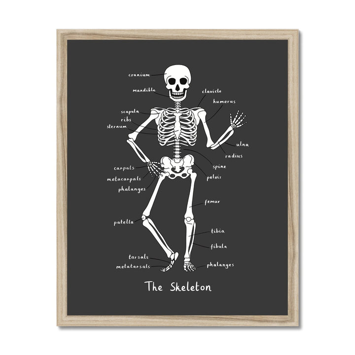 Skeleton in black / Framed Print