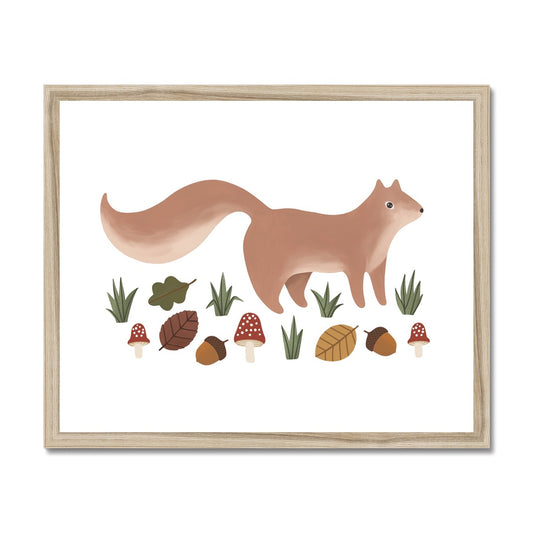 Squirrel in white / Framed Print