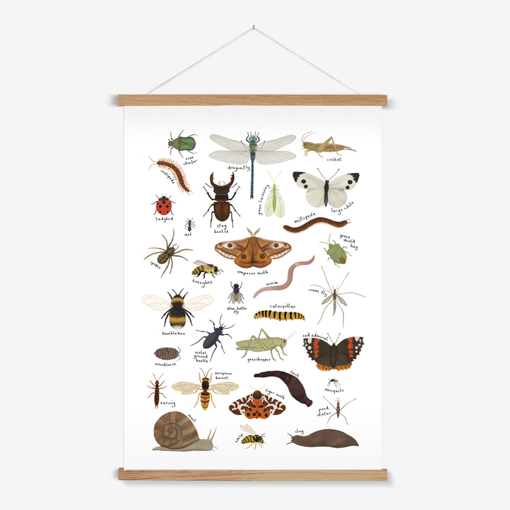 Minibeasts in white / Print with Hanger