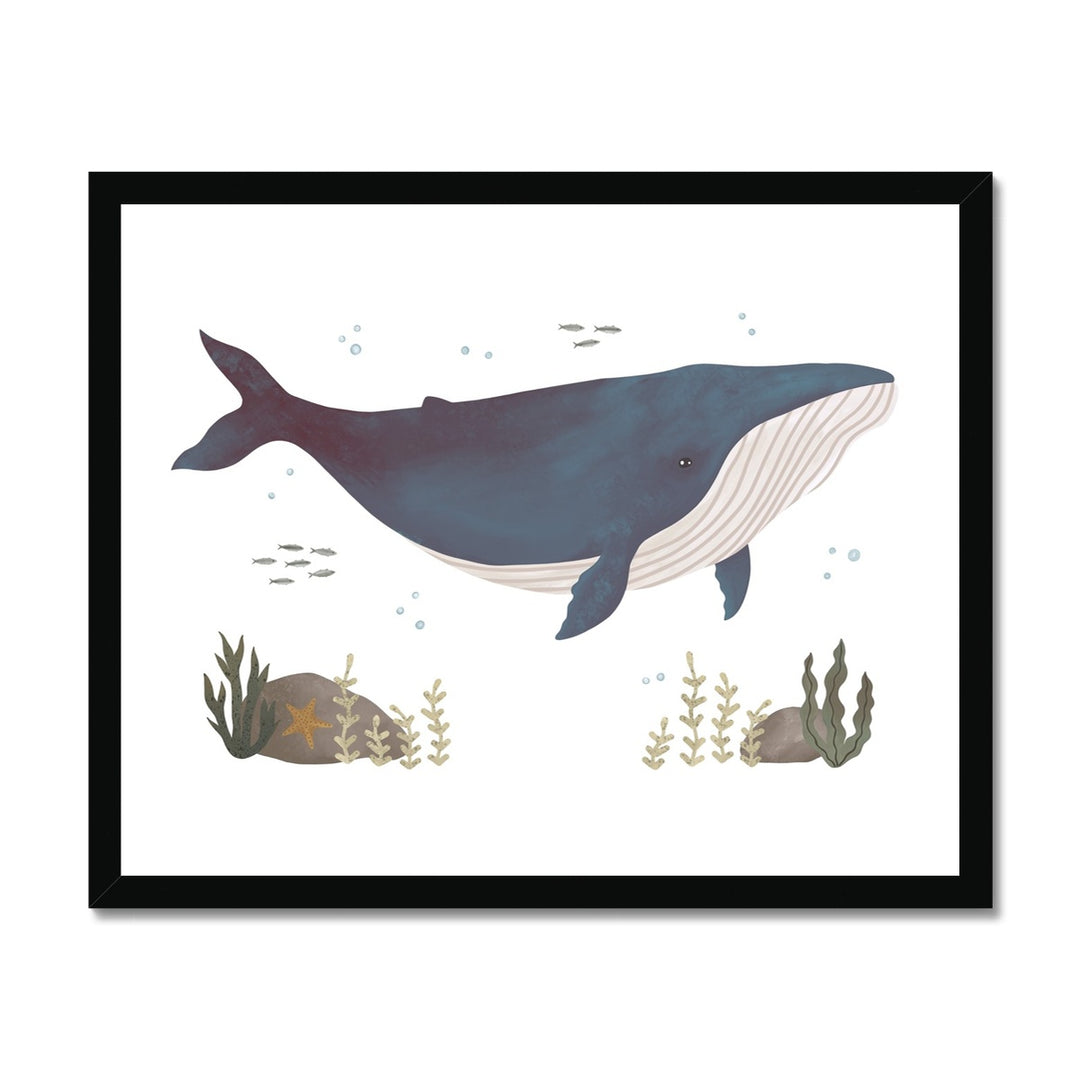 Whale / Framed Print