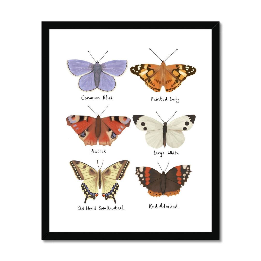 Butterflies / Framed Print