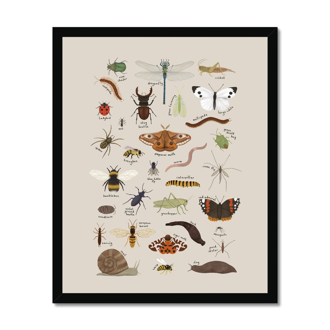 Minibeasts in stone / Framed Print