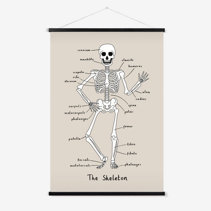 Skeleton in stone / Print with Hanger