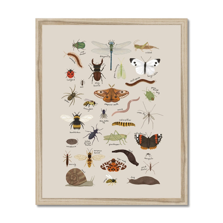 Minibeasts in stone / Framed Print