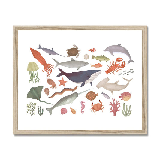 Ocean Life / Framed Print