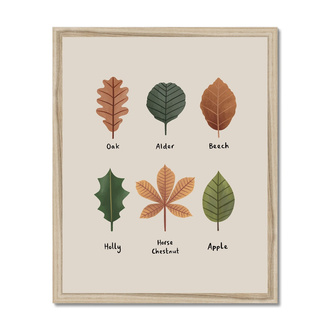 Leaves in stone / Framed Print