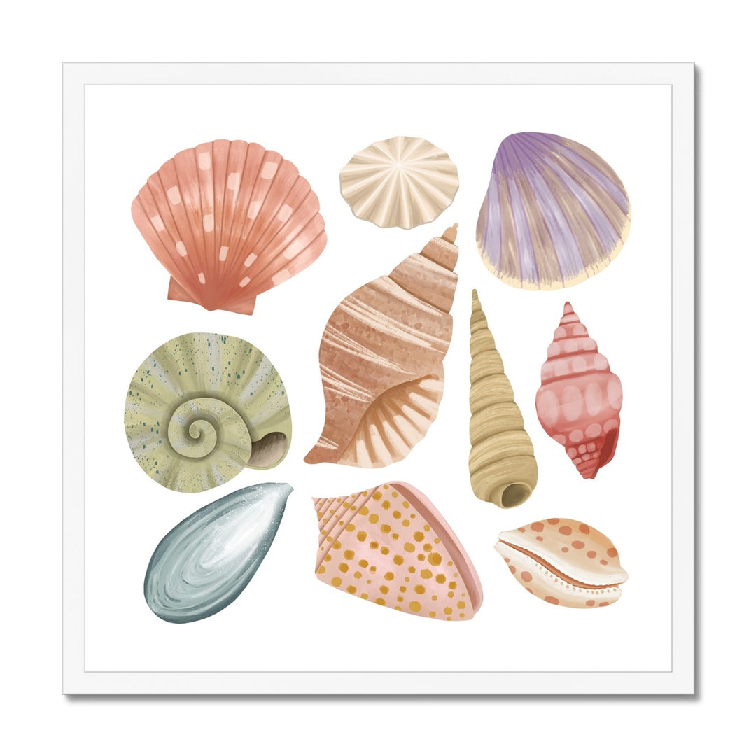 Shells / Framed Print