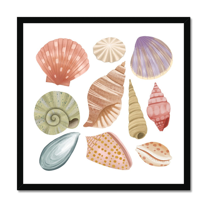 Shells / Framed Print