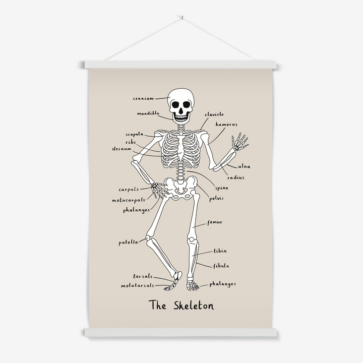 Skeleton in stone / Print with Hanger