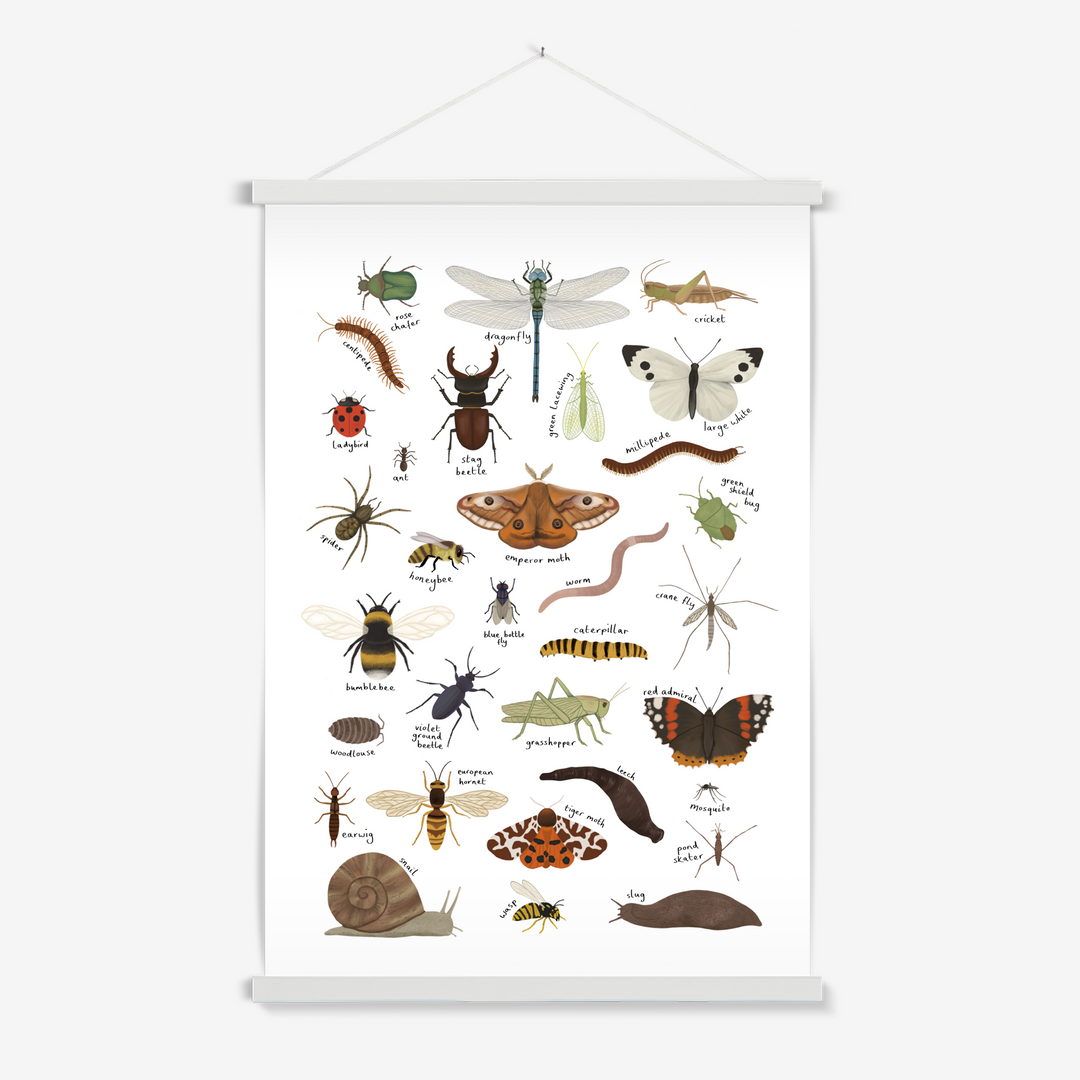 Minibeasts in white / Print with Hanger