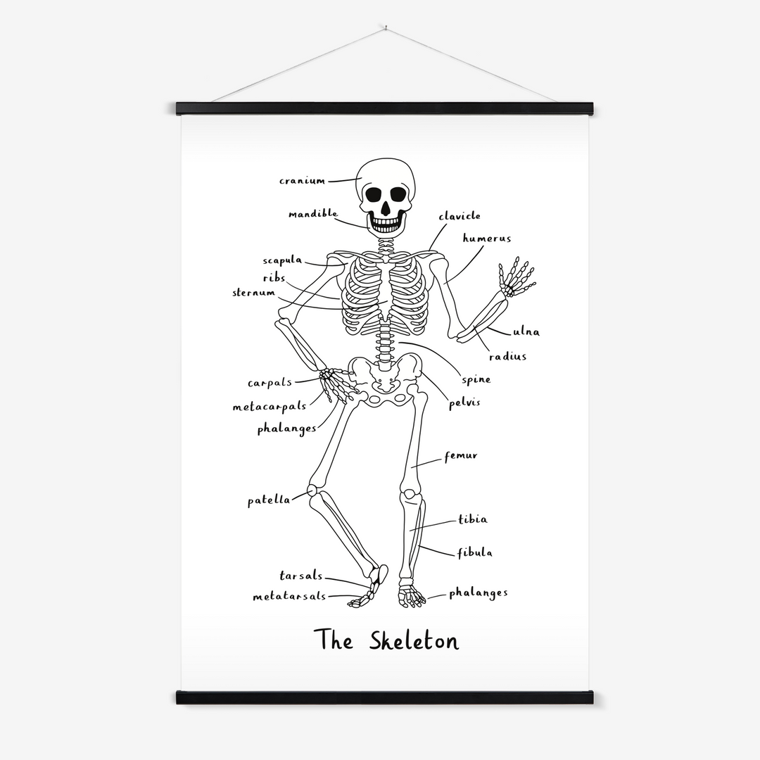 Skeleton in white / Print with Hanger