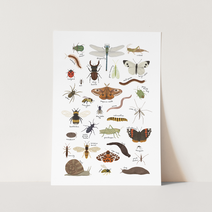 Minibeasts in white / Fine Art Print