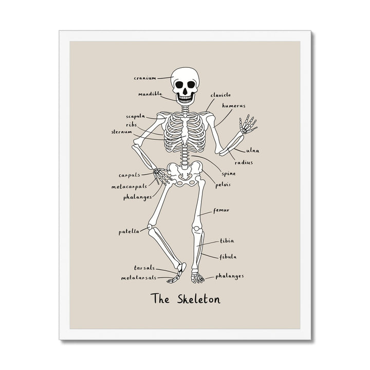 Skeleton in stone / Framed Print