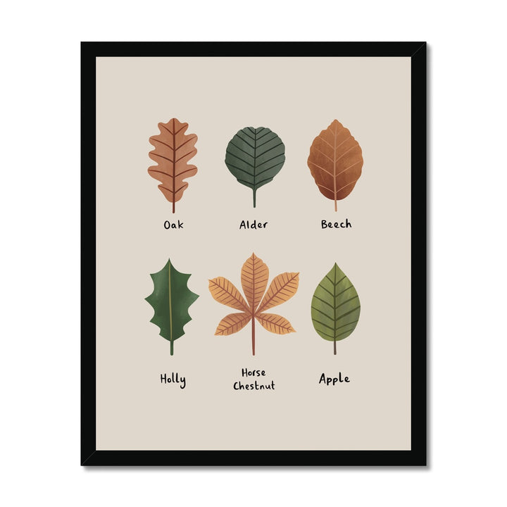 Leaves in stone / Framed Print