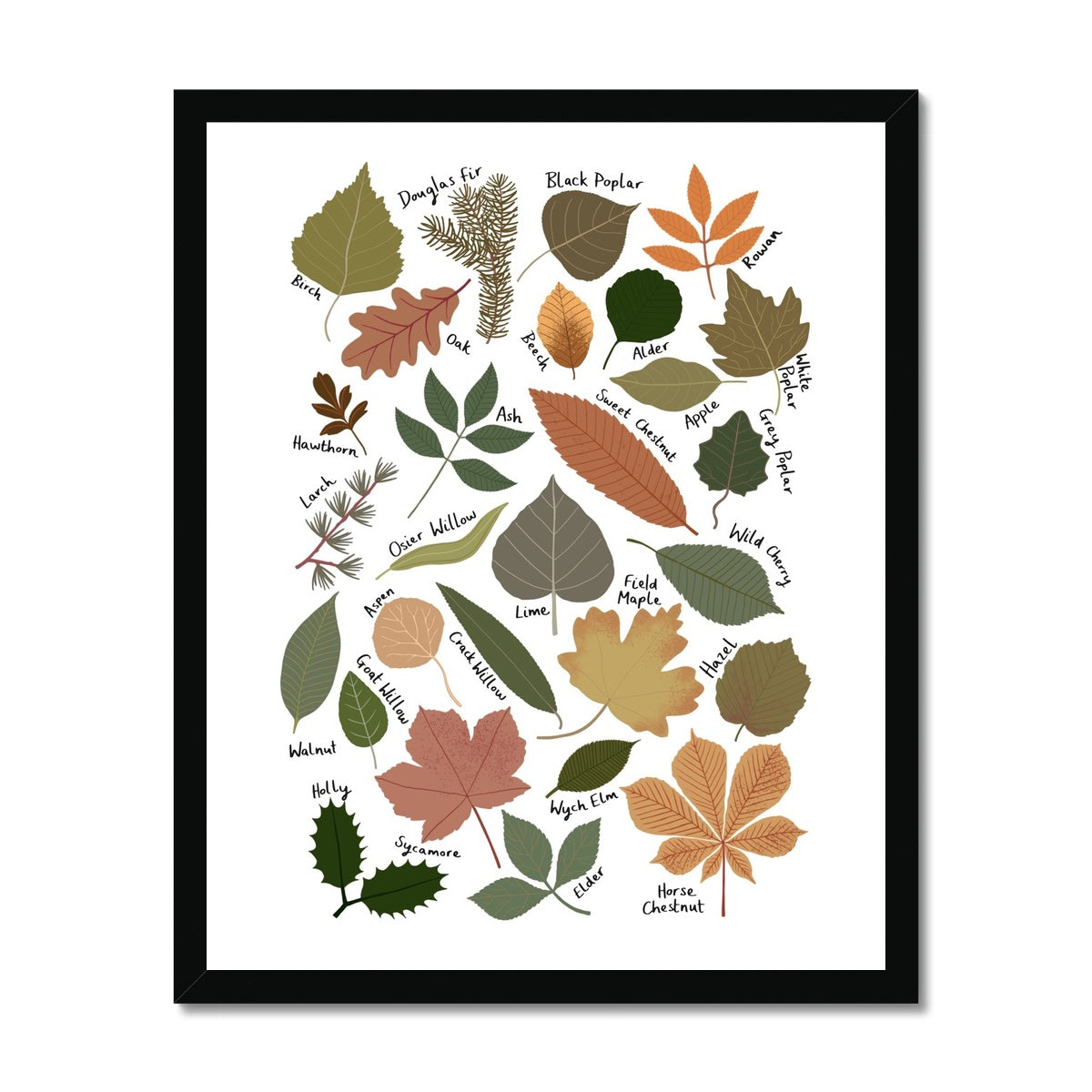 Leaf Chart / Framed Print