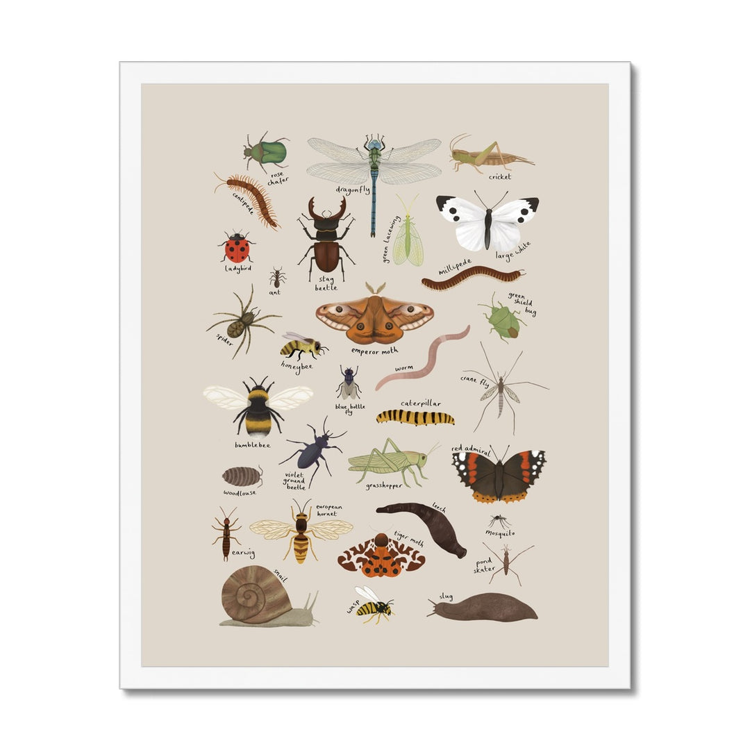 Minibeasts in stone / Framed Print