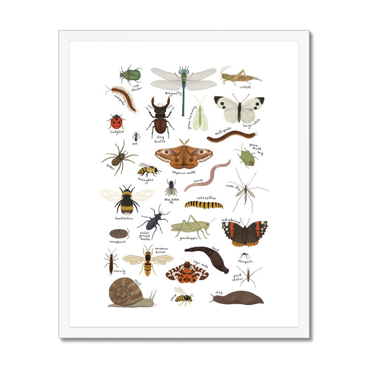 Minibeasts in white / Framed Print