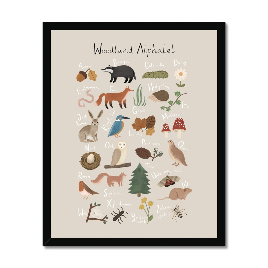 Woodland Alphabet in stone / Framed Print