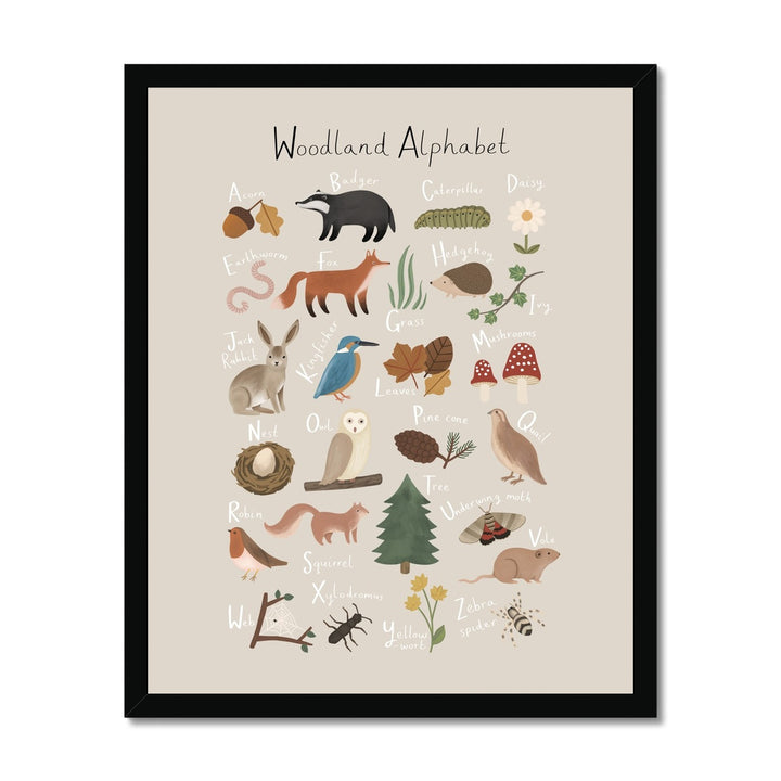 Woodland Alphabet in stone / Framed Print