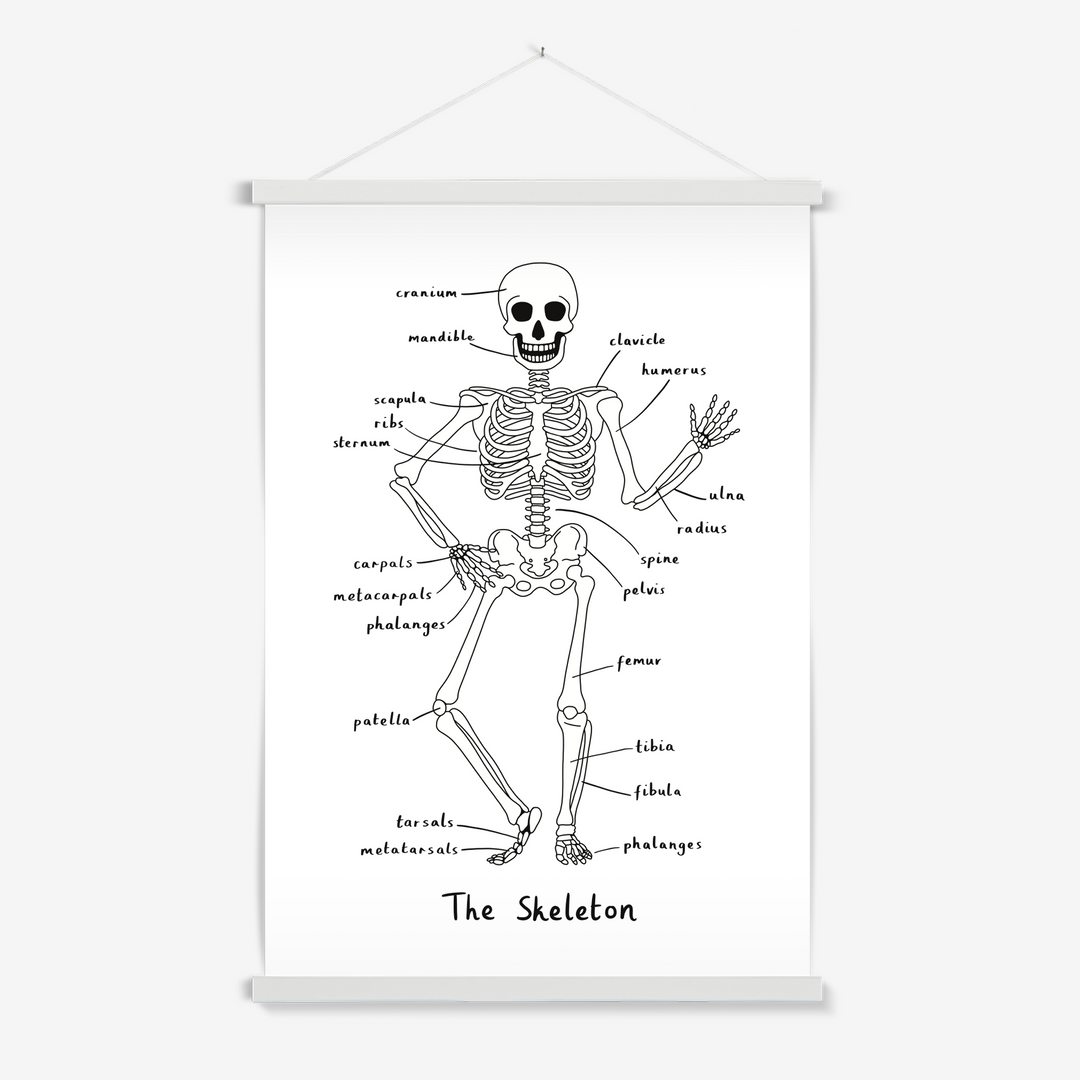 Skeleton in white / Print with Hanger