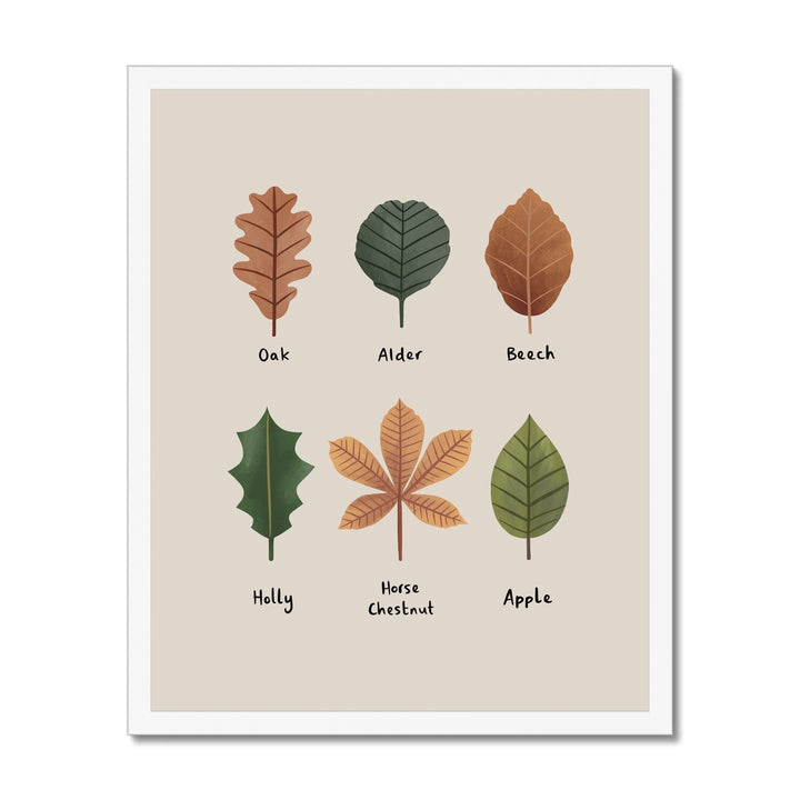 Leaves in stone / Framed Print