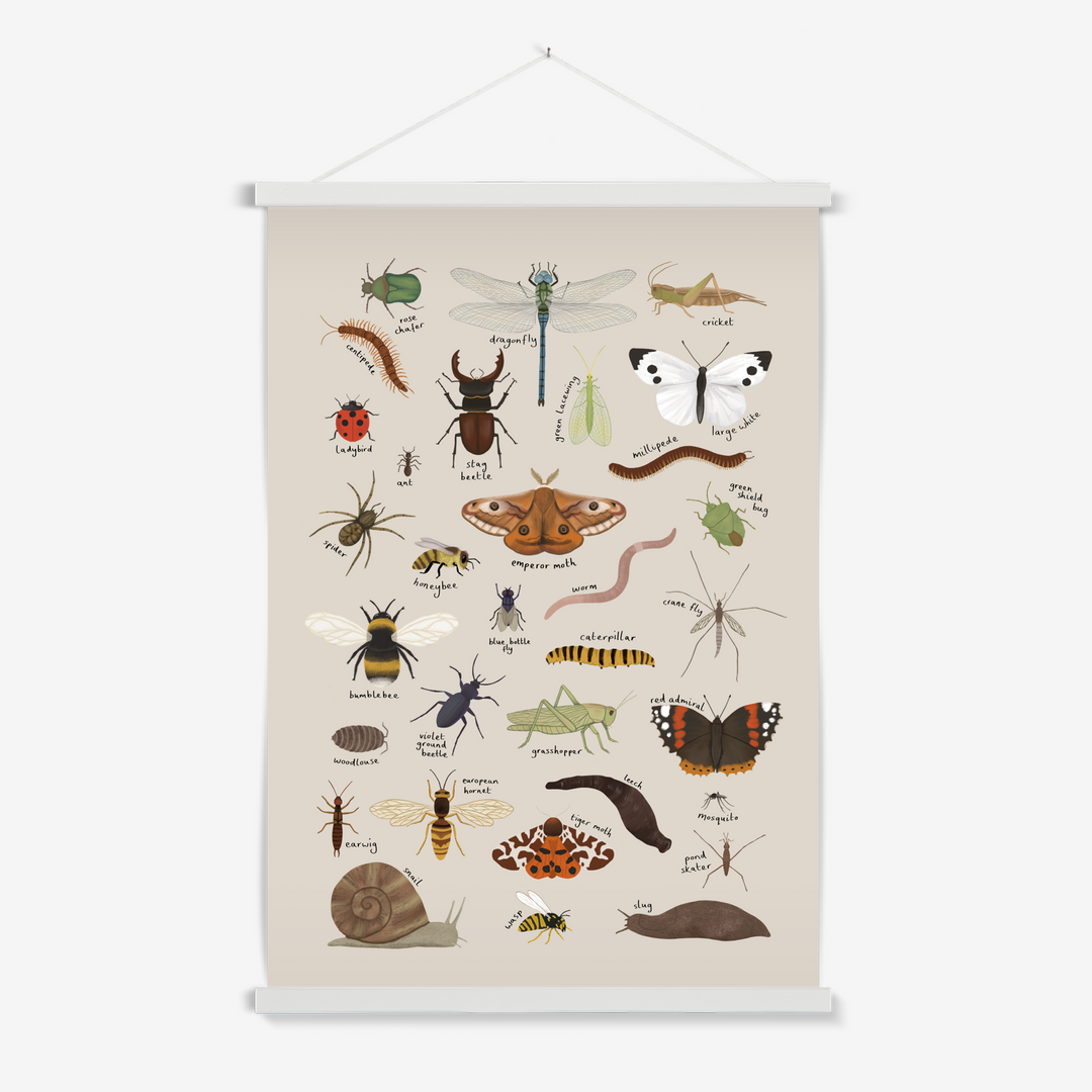 Minibeasts in stone / Print with Hanger