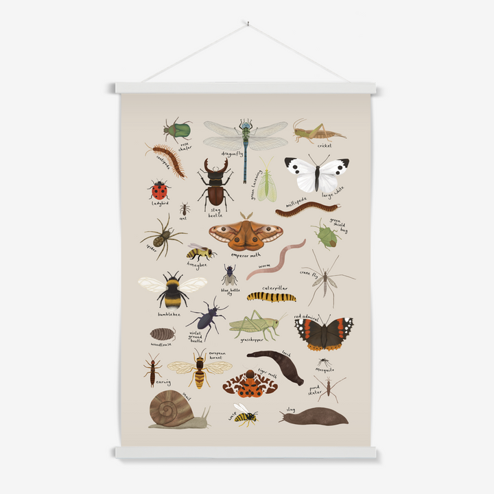 Minibeasts in stone / Print with Hanger