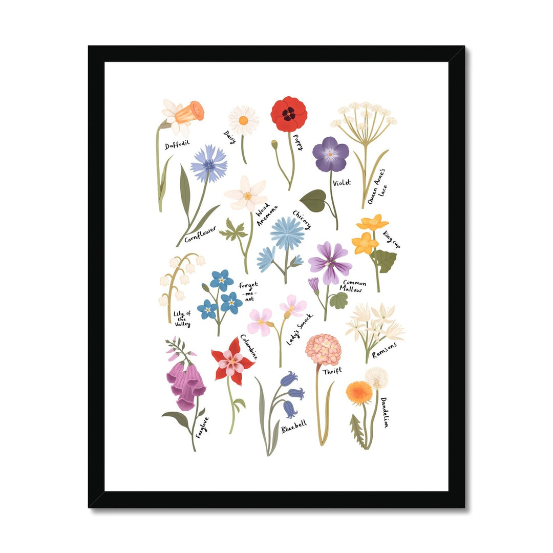 Wildflowers / Framed Print