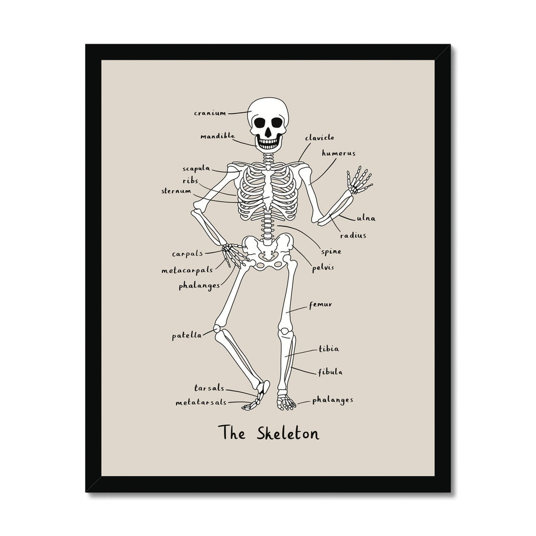 Skeleton in stone / Framed Print