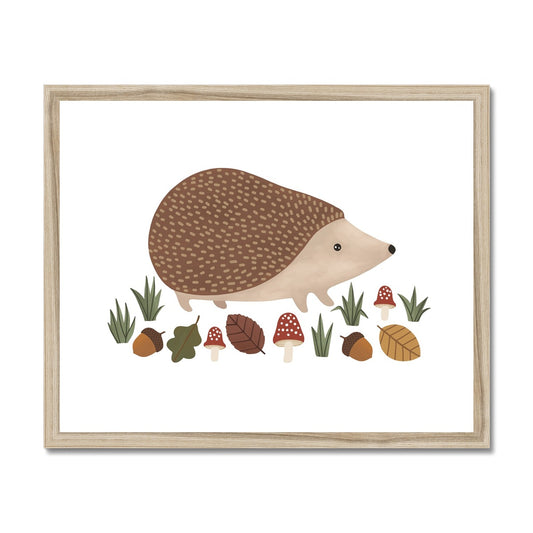 Hedgehog in white / Framed Print