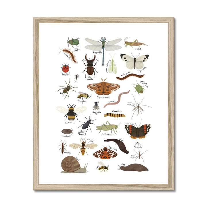 Minibeasts in white / Framed Print