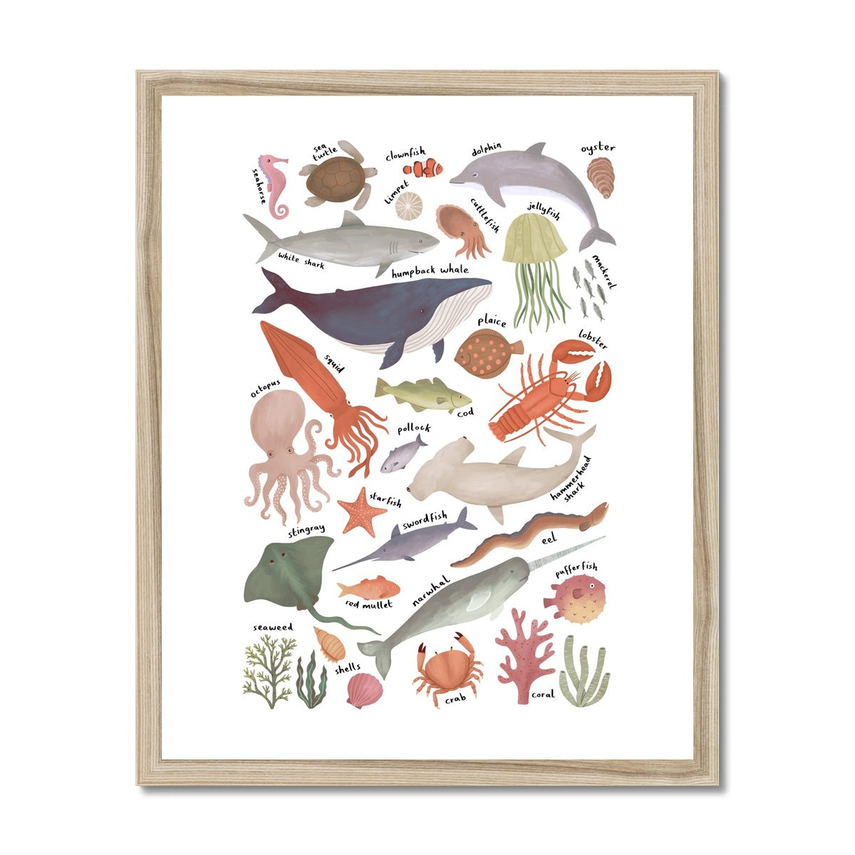 Ocean Life chart / Framed Print